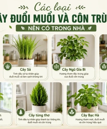 cac-loai-cay-duoi-muoi-va-con-trung-nen-co-trong-nha