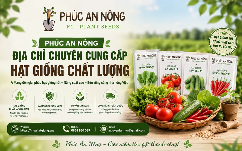 phuc-an-nong-dia-chi-chuyen-cung-cap-hat-giong-chat-luong