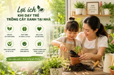 top-4-loi-ich-khi-day-tre-trong-cay-xanh